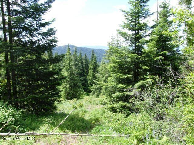 4900 E Hudlow Rd, Hayden, ID 83835 - view of mountain backdrop with a forest