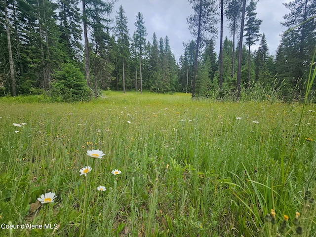 4900 E Hudlow Rd, Hayden, ID 83835 - photo 89