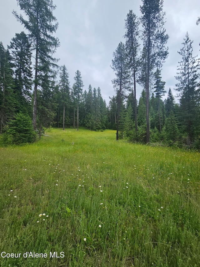 4900 E Hudlow Rd, Hayden, ID 83835 - photo 92