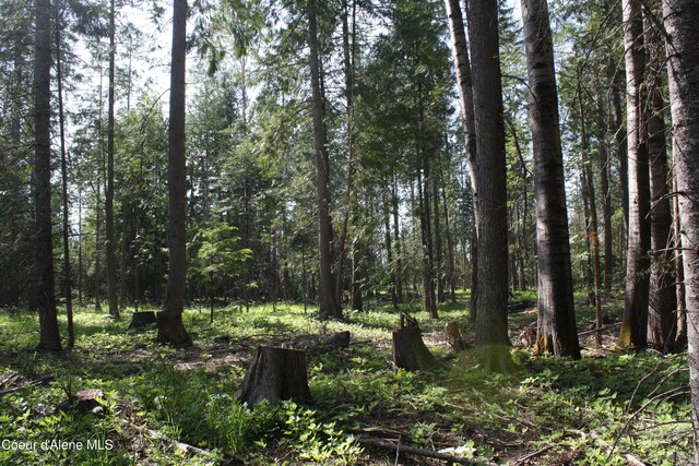 LOT4 Riverlake Dr, Clark Fork, ID 83811