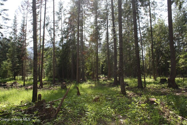 LOT4 Riverlake Dr, Clark Fork, ID 83811