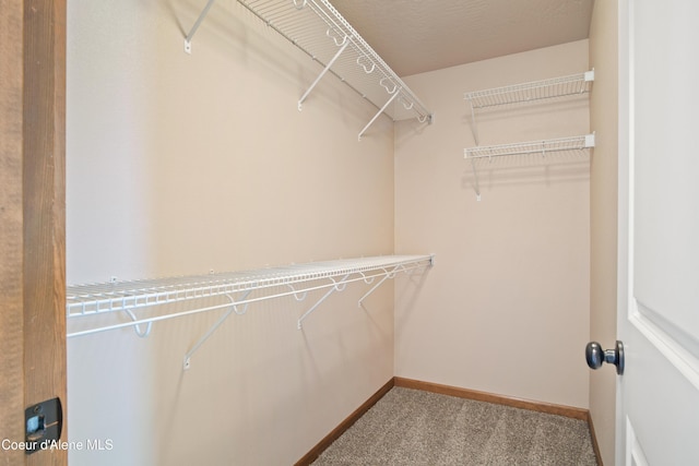 7833 N Hilliard Ct, Coeur Dalene, ID 83815 - walk in closet with carpet