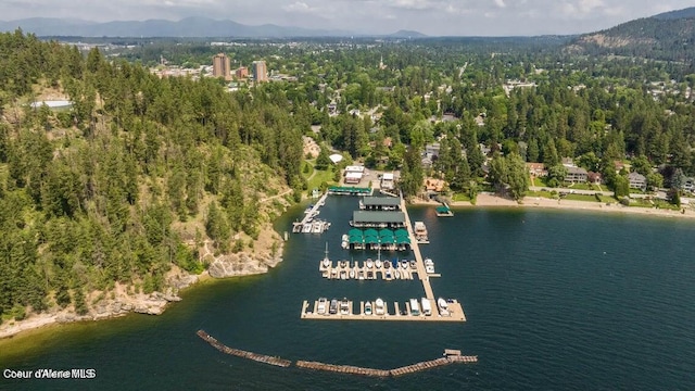 1100 E Lakeshore Dr, Coeur Dalene, ID 83814