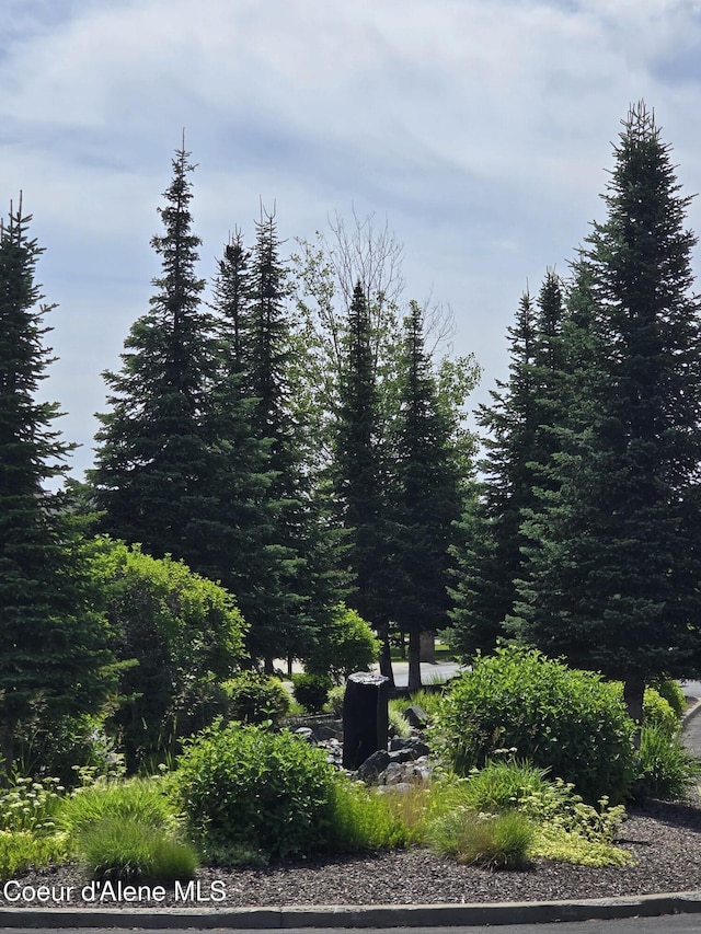 7812 W Kayak Ct, Rathdrum, ID 83858 - view of yard
