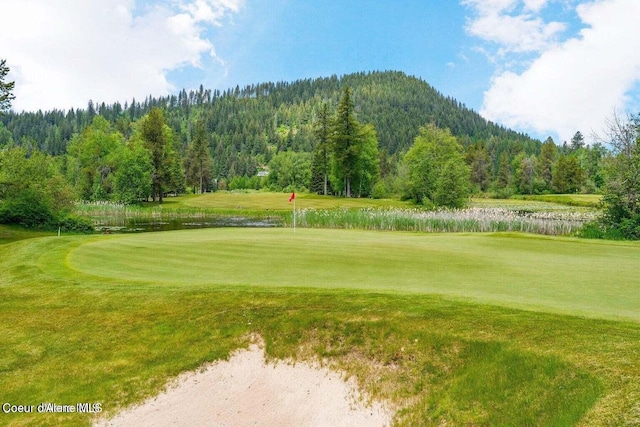 14 Timber Grv, Sandpoint, ID 83864 - photo 28