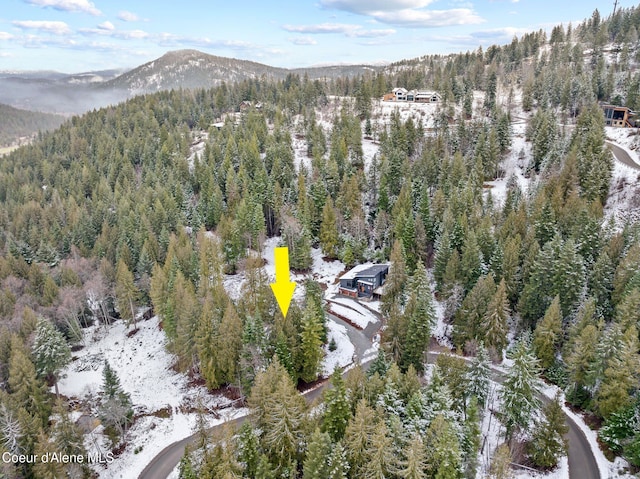 14 Timber Grv, Sandpoint, ID 83864 - photo 37