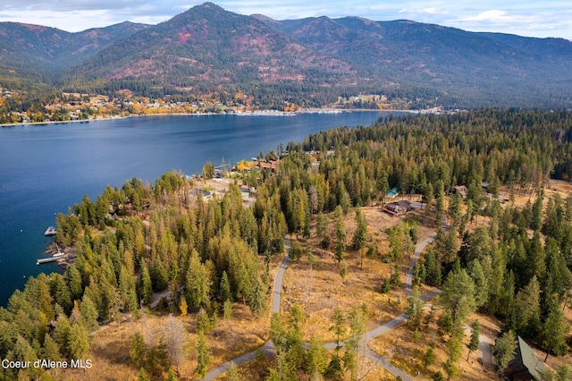 NKA Deerhaven, Hope, ID 83836