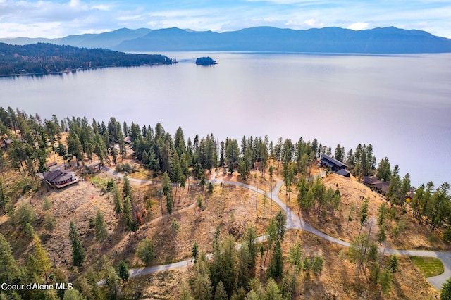 NKA Deerhaven, Hope, ID 83836