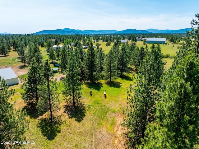 30267 N Wheatridge Rd, Athol, ID 83801