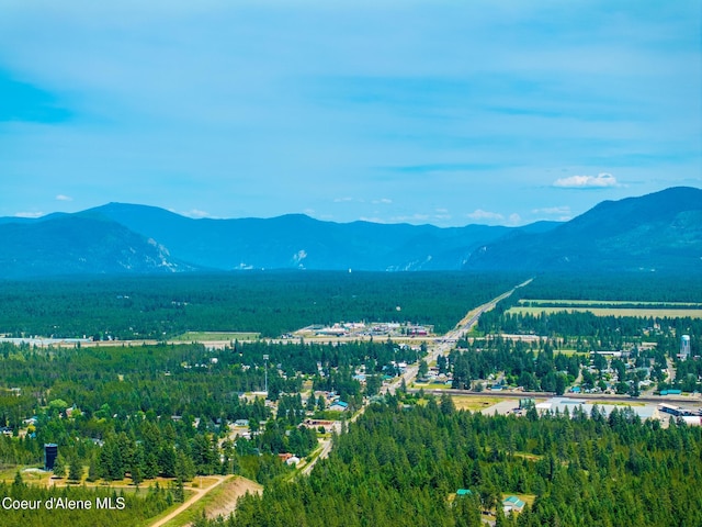 30267 N Wheatridge Rd, Athol, ID 83801