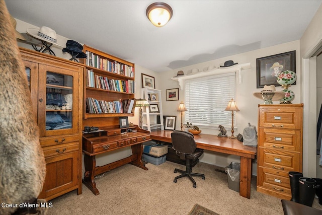 2372 E Thomas Hill Dr, Coeur Dalene, ID 83815 - view of carpeted office space