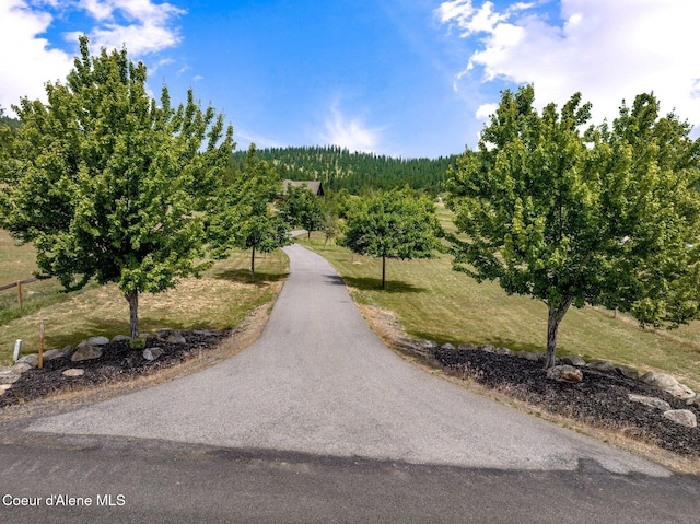 5841 W Clemetson Rd, Coeur Dalene, ID 83814 - view of property's community with a view of trees