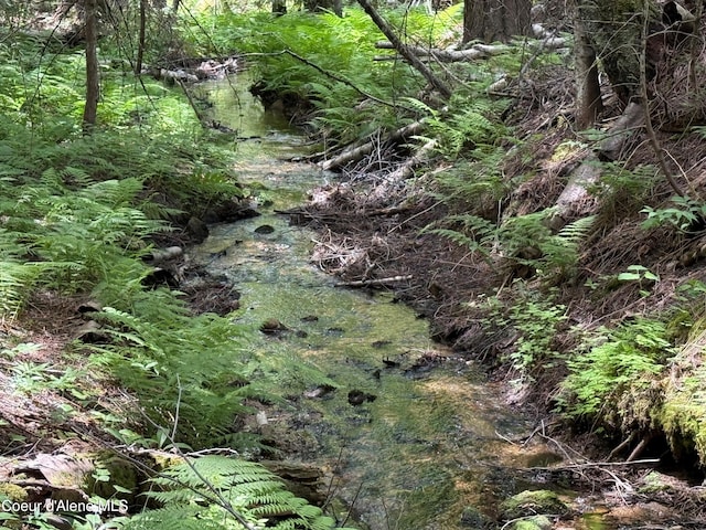 1283 N Wrenco Rd, Sandpoint, ID 83864 - view of local wilderness
