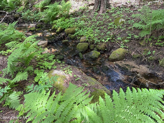 1283 N Wrenco Rd, Sandpoint, ID 83864 - view of local wilderness