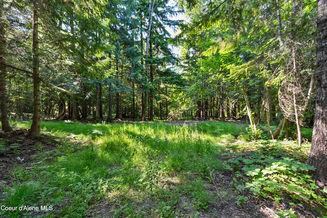 1283 N Wrenco Rd, Sandpoint, ID 83864 - view of tree filled area