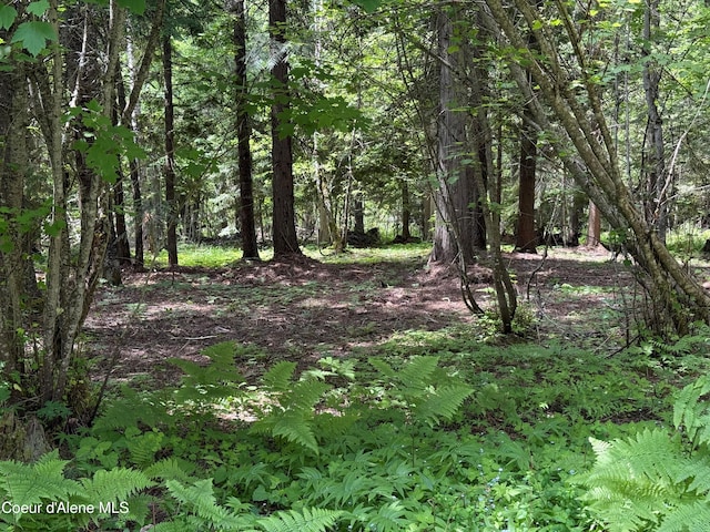 1283 N Wrenco Rd, Sandpoint, ID 83864 - view of tree filled area