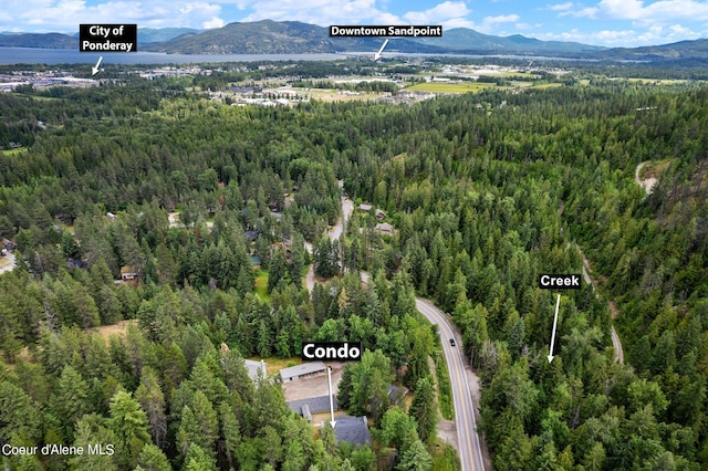 64 Winterbrook Way Unit 202, Sandpoint, ID 83864 - photo 5