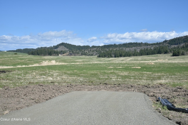 LOT1 Mundt Rd, Plummer, ID 83851 - photo 1