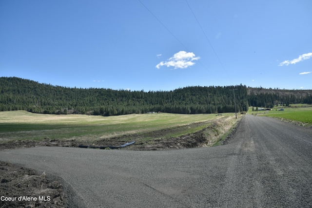 LOT1 Mundt Rd, Plummer, ID 83851 - photo 3