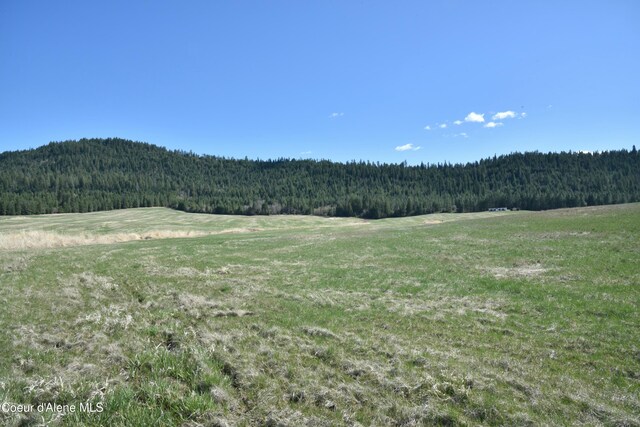 LOT1 Mundt Rd, Plummer, ID 83851 - photo 5