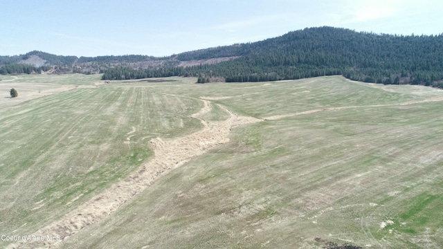 LOT1 Mundt Rd, Plummer, ID 83851 - photo 6