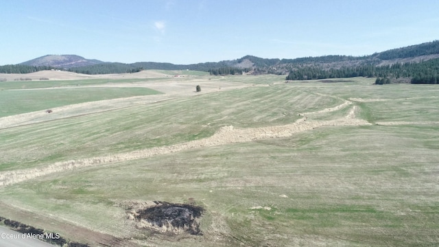 LOT1 Mundt Rd, Plummer, ID 83851 - photo 7