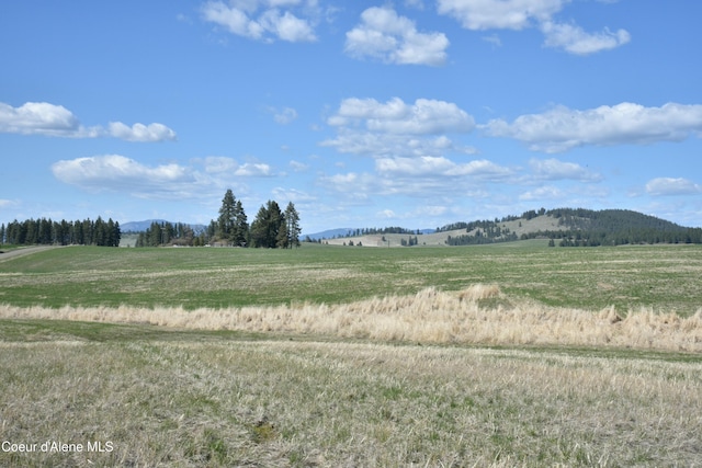LOT1 Mundt Rd, Plummer, ID 83851 - photo 8
