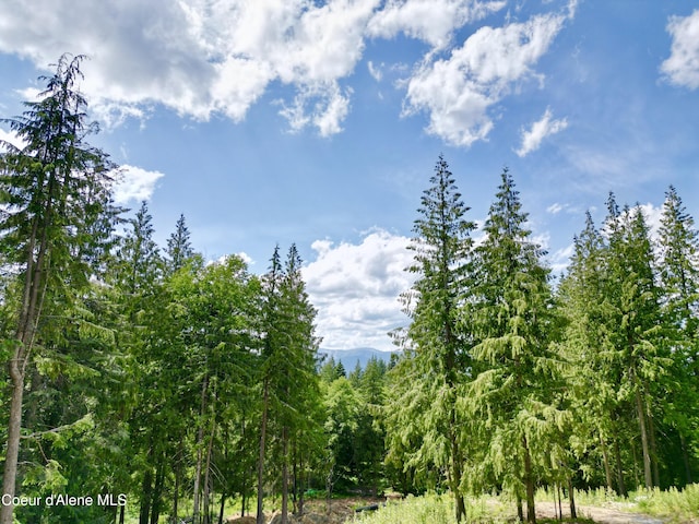 7 Timber Grv, Sandpoint, ID 83864 - photo 41