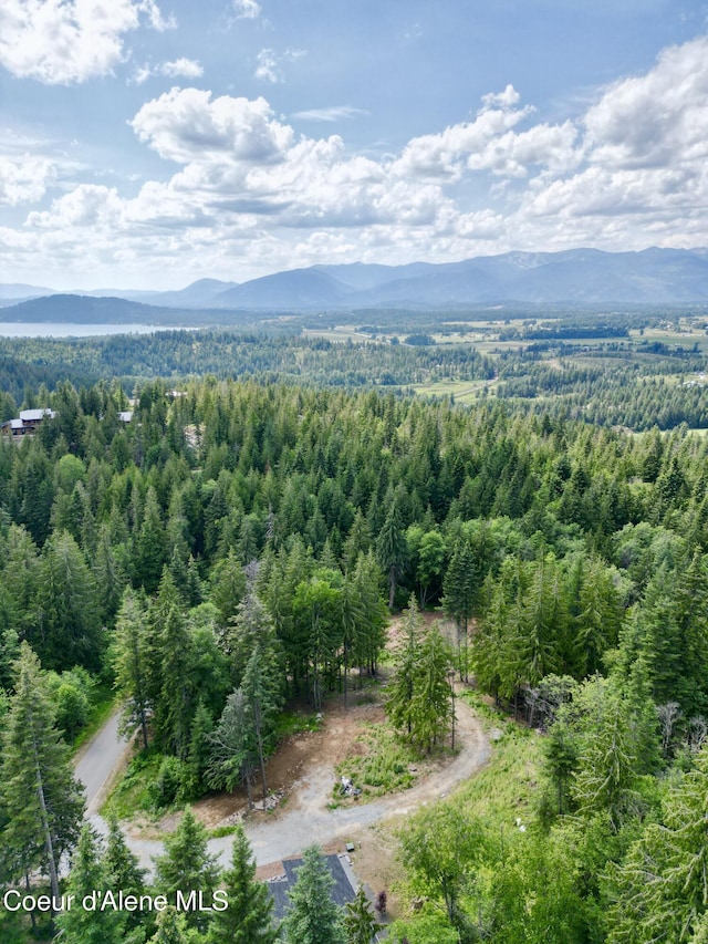 7 Timber Grv, Sandpoint, ID 83864 - photo 44
