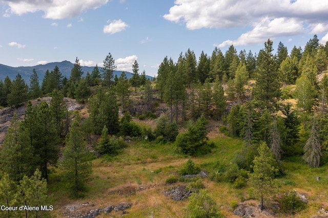 5095 Jewel Lake Rd, Sagle, ID 83860 - photo 4