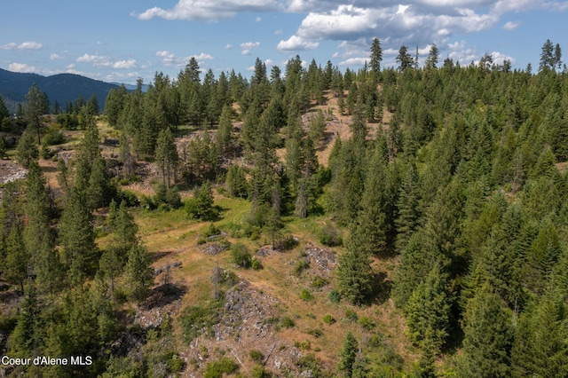 5095 Jewel Lake Rd, Sagle, ID 83860 - photo 5
