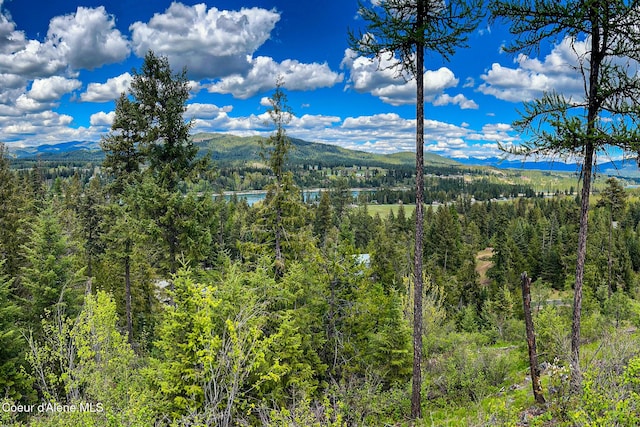 65 Cougar Ridge Ln, Priest River, ID 83856