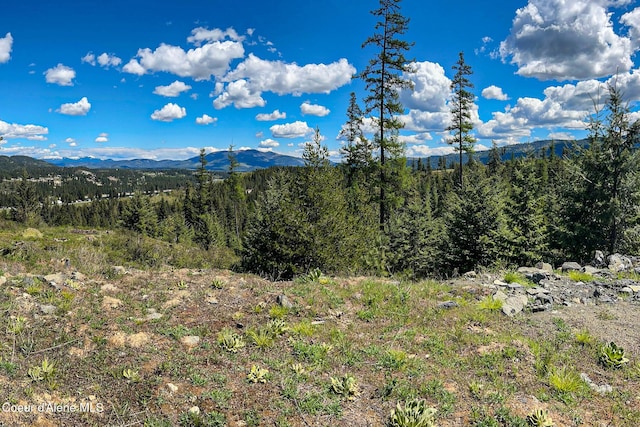 65 Cougar Ridge Ln, Priest River, ID 83856