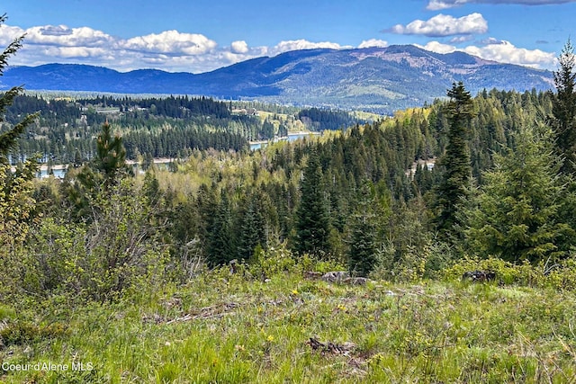 65 Cougar Ridge Ln, Priest River, ID 83856