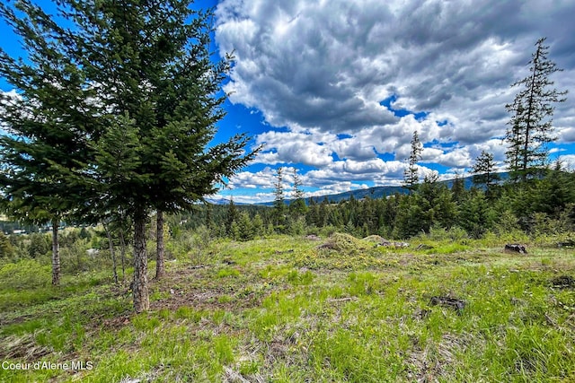 65 Cougar Ridge Ln, Priest River, ID 83856