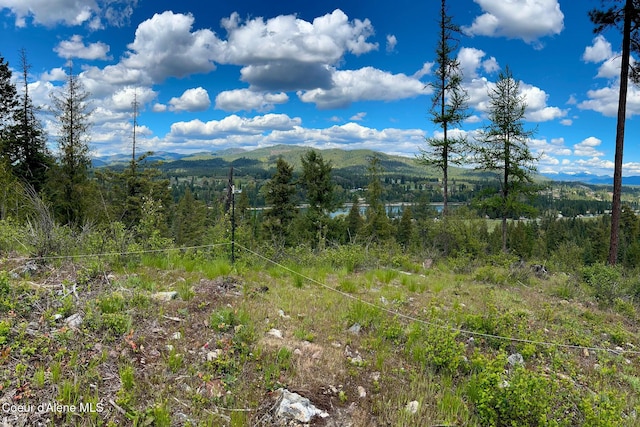 65 Cougar Ridge Ln, Priest River, ID 83856
