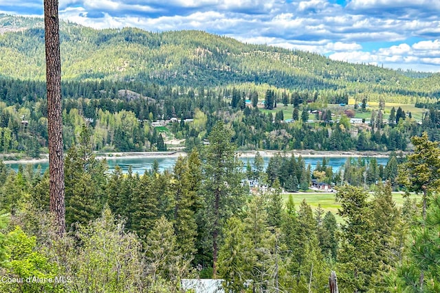 65 Cougar Ridge Ln, Priest River, ID 83856