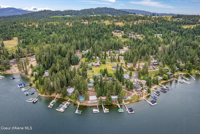 7605 W Sanders Rd, Coeur Dalene, ID 83814 - view of property location with a water and mountain view