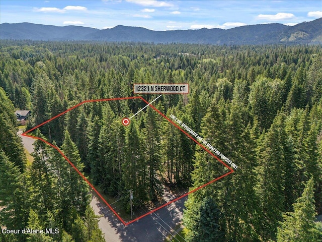 12321 N Sherwood Ct, Hayden, ID 83835 - aerial view of property's location with a forest and property parcel outlined