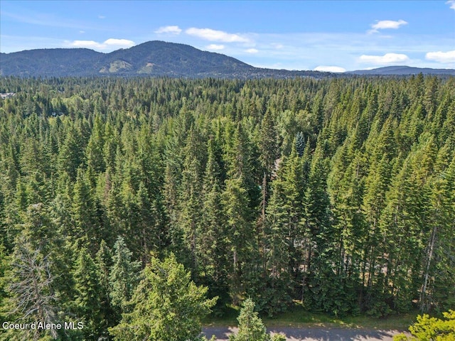 12321 N Sherwood Ct, Hayden, ID 83835 - view of mountain background featuring a heavily wooded area