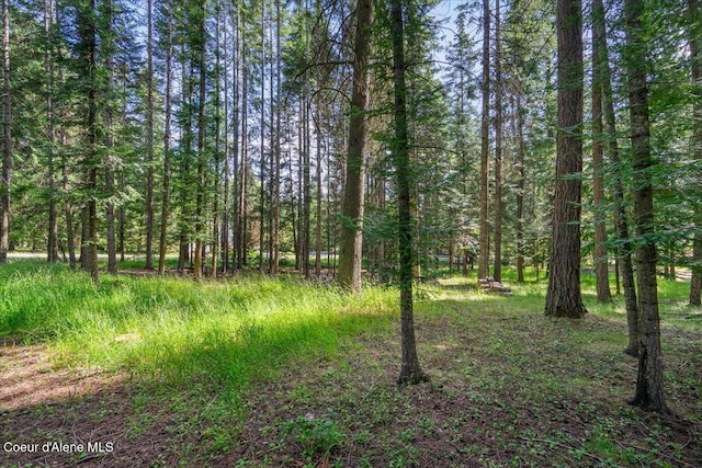12321 N Sherwood Ct, Hayden, ID 83835 - view of tree filled area