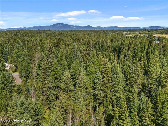 12321 N Sherwood Ct, Hayden, ID 83835 - view of mountain backdrop featuring a forest