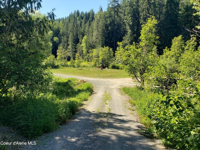 1007 Ruby Creek Rd, Naples, ID 83847 - view of dirt / gravel road featuring a wooded view