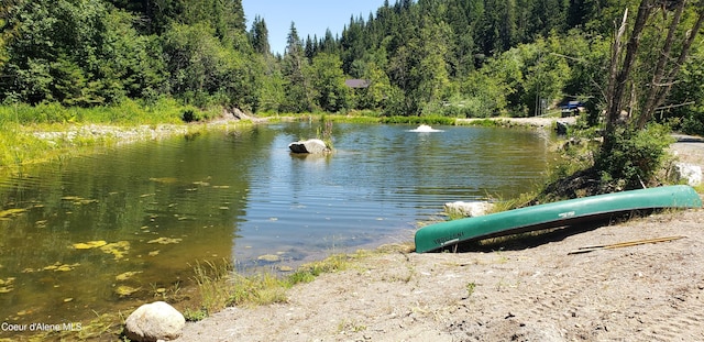 1007 Ruby Creek Rd, Naples, ID 83847 - water view with a forest