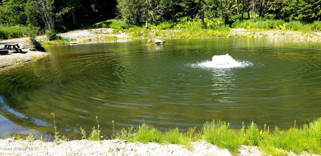 1007 Ruby Creek Rd, Naples, ID 83847 - water view