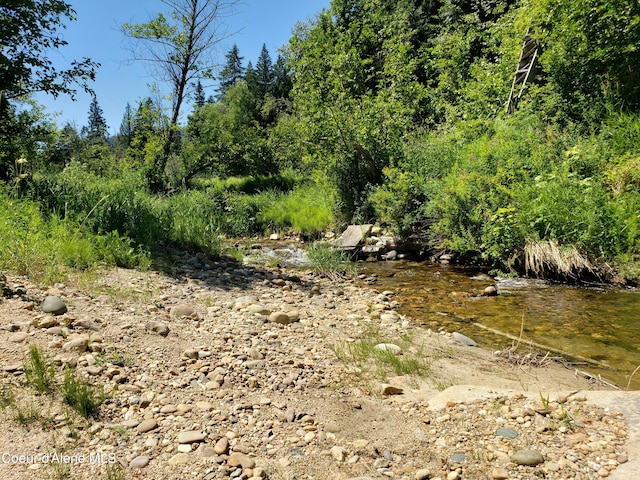 1007 Ruby Creek Rd, Naples, ID 83847 - view of nature