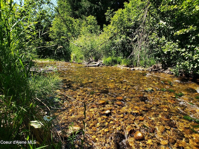 1007 Ruby Creek Rd, Naples, ID 83847 - view of nature
