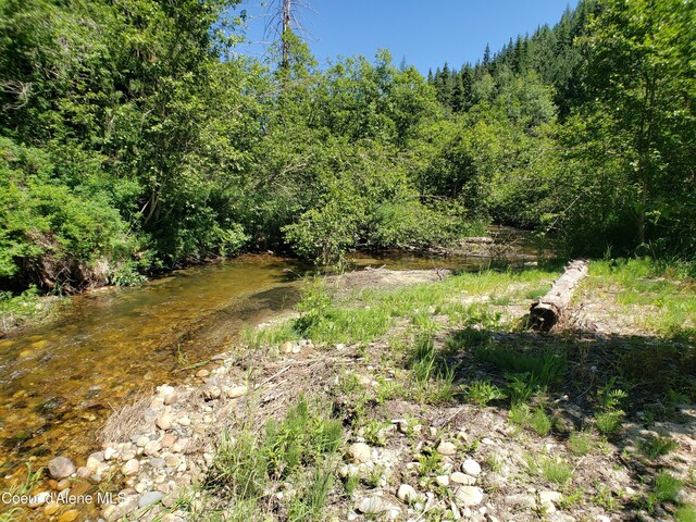 1007 Ruby Creek Rd, Naples, ID 83847 - view of wooded area