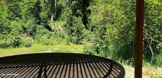 1007 Ruby Creek Rd, Naples, ID 83847 - view of yard