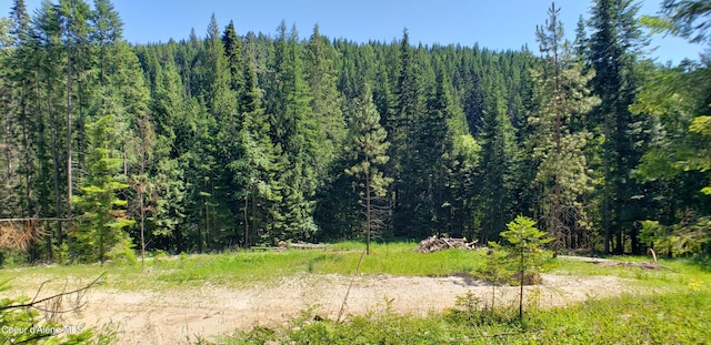1007 Ruby Creek Rd, Naples, ID 83847 - view of woods